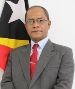 Provedor