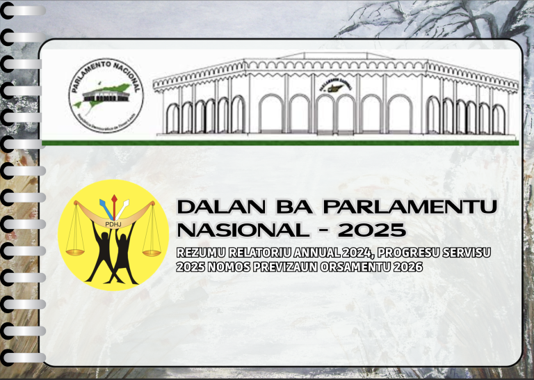Rezumu Relatóriu Anuál 2024