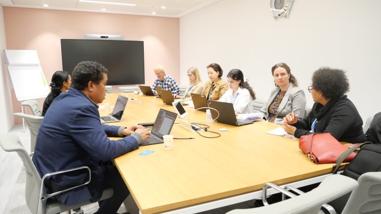 Provedór Esplora Mekanizmu Direitus Umanus ONU nian hodi Avansa Direitus Umanus no Boa Governasaun